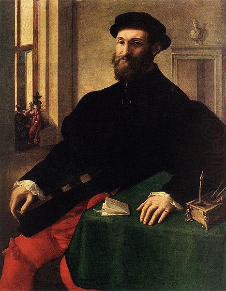 Giulio Campi Portrait of a Man oil painting picture